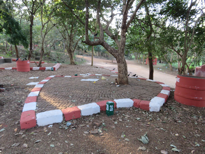 Picnic Pindi Smaller